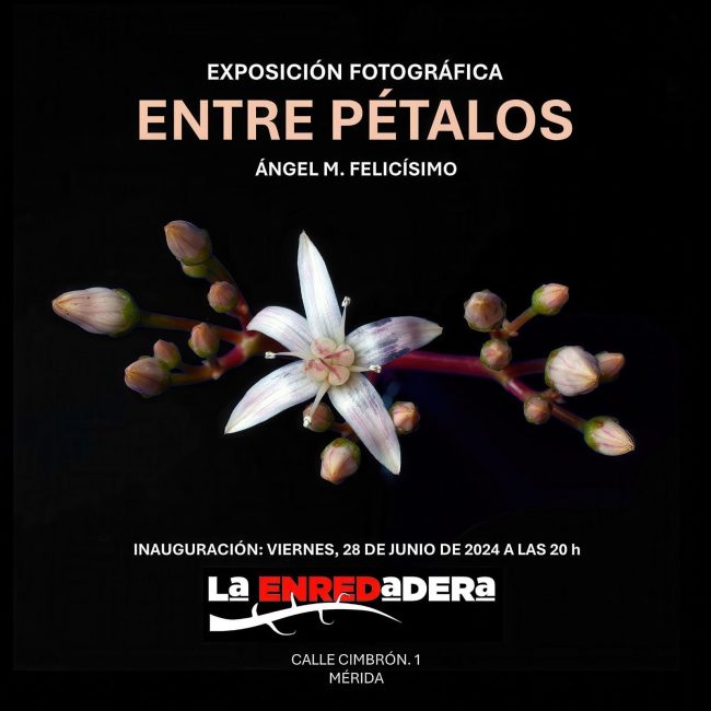 Exposición fotográfica ‘Entre pétalos’ de Ángel M. Felicísimo