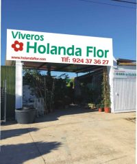 Vivero HOLANDA FLOR y VIANA floristería