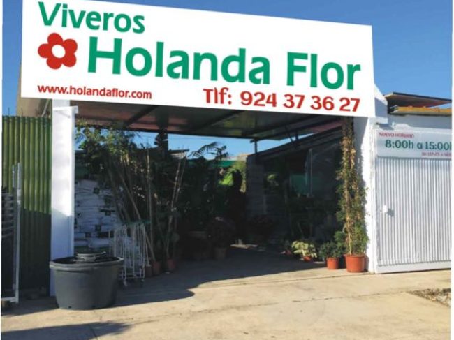 Vivero HOLANDA FLOR y VIANA floristería