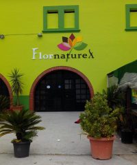 FlornatureX