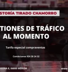 GESTORIA TIRADO CHAMORRO realiza todo tipo de gestiones de Tráfico, al momento