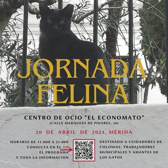Jornada Felina