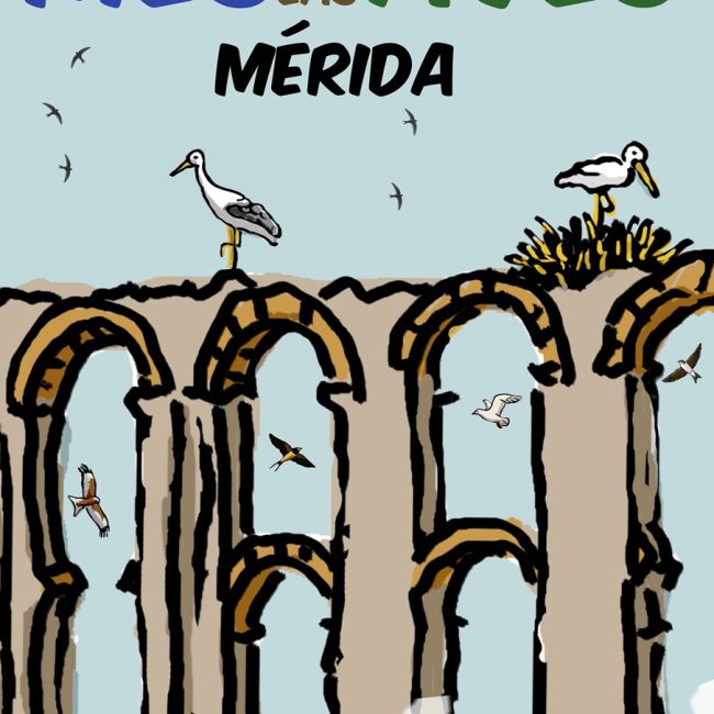 Mes de las Aves Mérida 2024