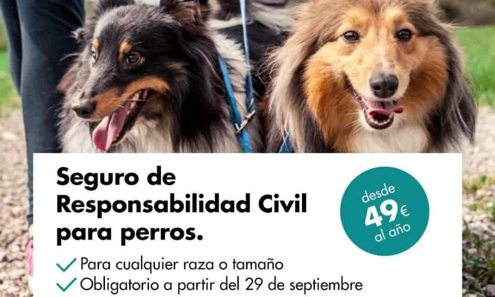 Seguros de responsabilidad civil para perros desde 49€. Manuel Padilla: Seguros Helvetia