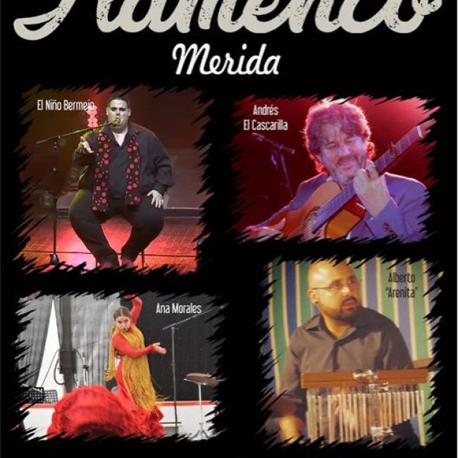 Espectáculo ‘Solo Flamenco’ con el Niño Bermejo